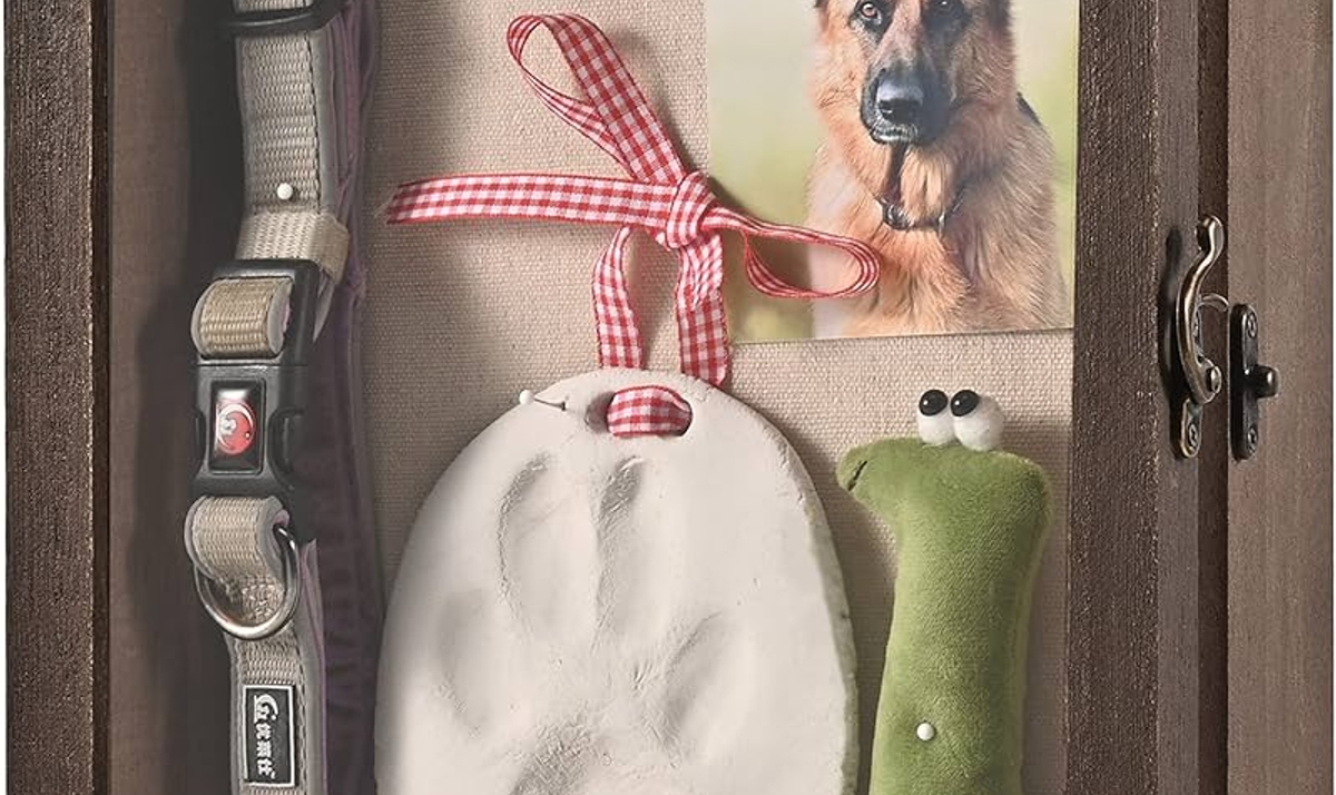 غم از دست دادن حیوان خانگی